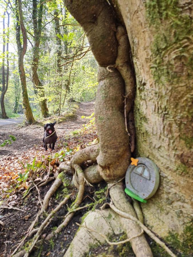 Old Road Cottage Pet Friendly Outdoors Beaches Ніт Екстер'єр фото